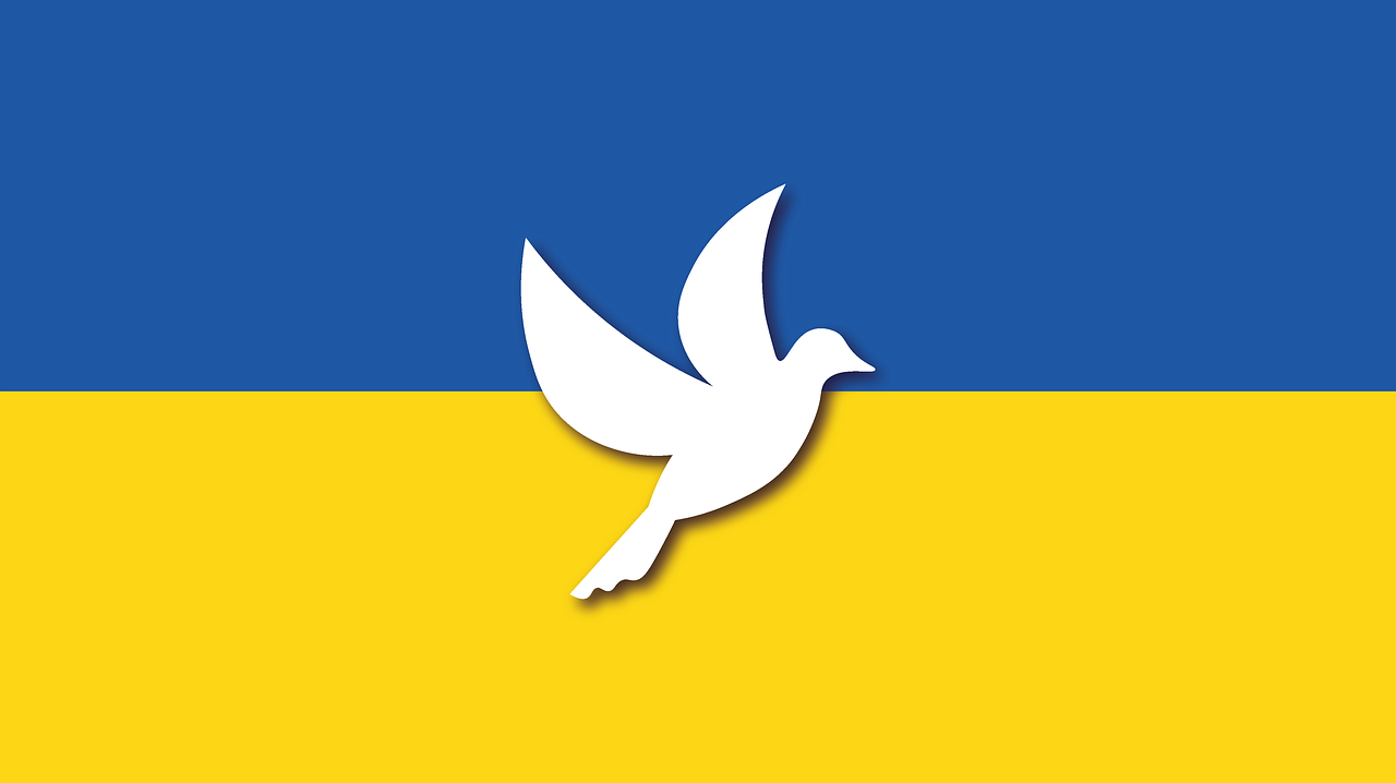 flage ukraini